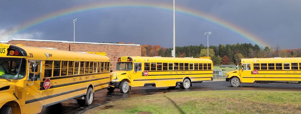 FA Bus Rainbow